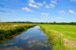 Ditch and green polder landscape in summer in the Netherlands