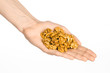 Nuts and cooking theme: man's hand holding a fresh peeled walnuts isolated on a white background in studio