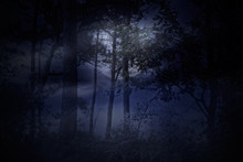 Full Moon Rises Over A Forest On A Misty Night