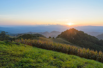 Wall Mural - Sunset over mountain in sri nan national park thailand