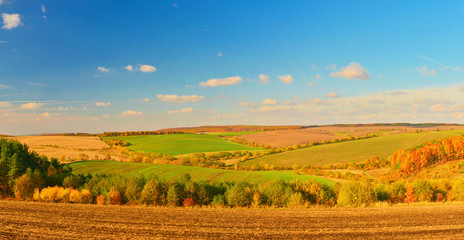 Wall Mural - Countryside