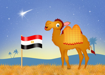 Wall Mural - camel with flag Egypt