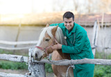 Fototapeta  - Young smiling veterinarian cuddling horse on the ranch
