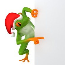 Tropical Christmas Frog