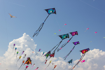 Wall Mural - kite festival