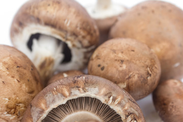 Wall Mural - Champignons - fresh mushrooms