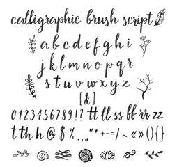 Calligraphic vector font with numbers, ampersand and symbols.