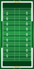 Wall Mural - Textured Grass Vertical American Football Field