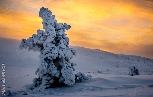 Winter Wonderland Levi, Lapland Tableau sur Toile