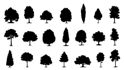 tree silhouettes