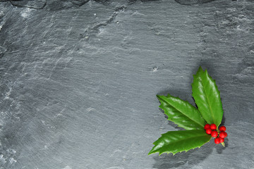 Wall Mural - holly with berries on dark stone background