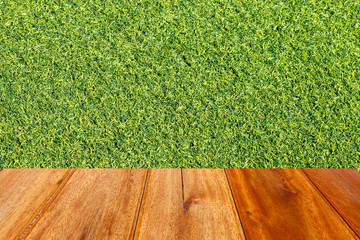 green grass on wood floor,in sunny day  of beauty natural backgr