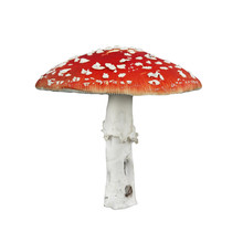 Red Poison Mushroom