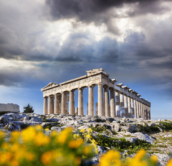 Wall Mural - Parthenon temple with spring flowers on the Acropolis in Athens, Greece