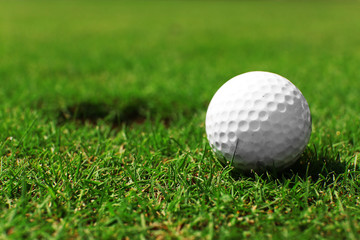 Wall Mural - Golf ball on lip of cup on the green golf course, close up