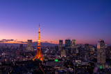 Fototapeta Boho - Panoramic view at Tokyo with Tokyo Tower