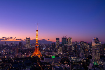  Panoramic view at Tokyo with Tokyo Tower