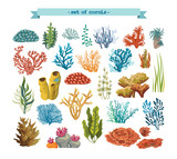 Fototapeta Dinusie - Set of colorful corals and algae.