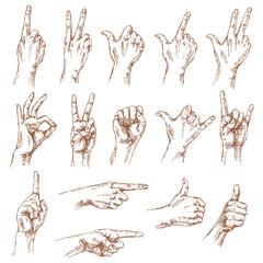 Wall Mural - Sketch of hand gestures.