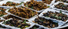 Various fried bugs