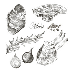 Wall Mural - vector steak meat hand drawing with pepper and rosemary. detailed ink food illustration