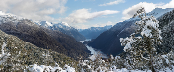 Wall Mural - Along the way to Doubtful Sound, New Zealand.