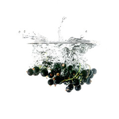 Blackcurrants splash on water, isolated on white background