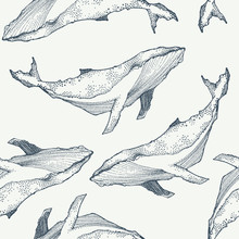 Whales Seamless Pattern. Animal Background. Vector Illustration