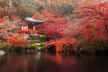 Daigo-ji Temple In Autumn