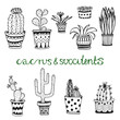 Hand drawn succulent and cactuse set. Doodle florals in pots. Vector botanical set with cute house interior plants.