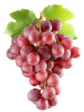 Pink Grapes Isolated On The White Background