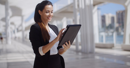 Poster - Smiling woman surfing the internet