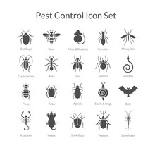 Vector Set Of Icons With Insects For Pest Control Business