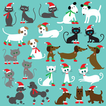 Christmas Cats And Dogs