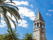 Glockenturm Vom Dominikanerkloster Und Palmen In Trogir, Kroatien