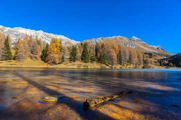  Beautiful view of Lake Palpuogna in autumn