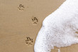 Hundepfotenabdrücke im Sand bei Meeresbrandung