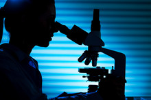 Silhouette Of A Scientist At Microscope