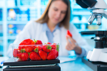 Canvas Print - checking food Strawberries, on the content herbicides and pestic