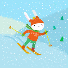 Cute White Rabbit Skiing.