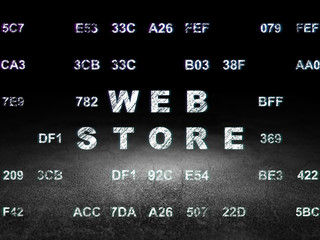 Web development concept: Web Store in grunge dark room