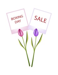  Boxing Day of Photo Frames with Tulips