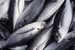 © sakhorn38 - fresh fish as background.