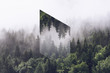Foggy Evergreen Forest with Inverted Polygon
