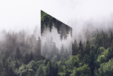 Fototapeta Sypialnia - Foggy Evergreen Forest with Inverted Polygon