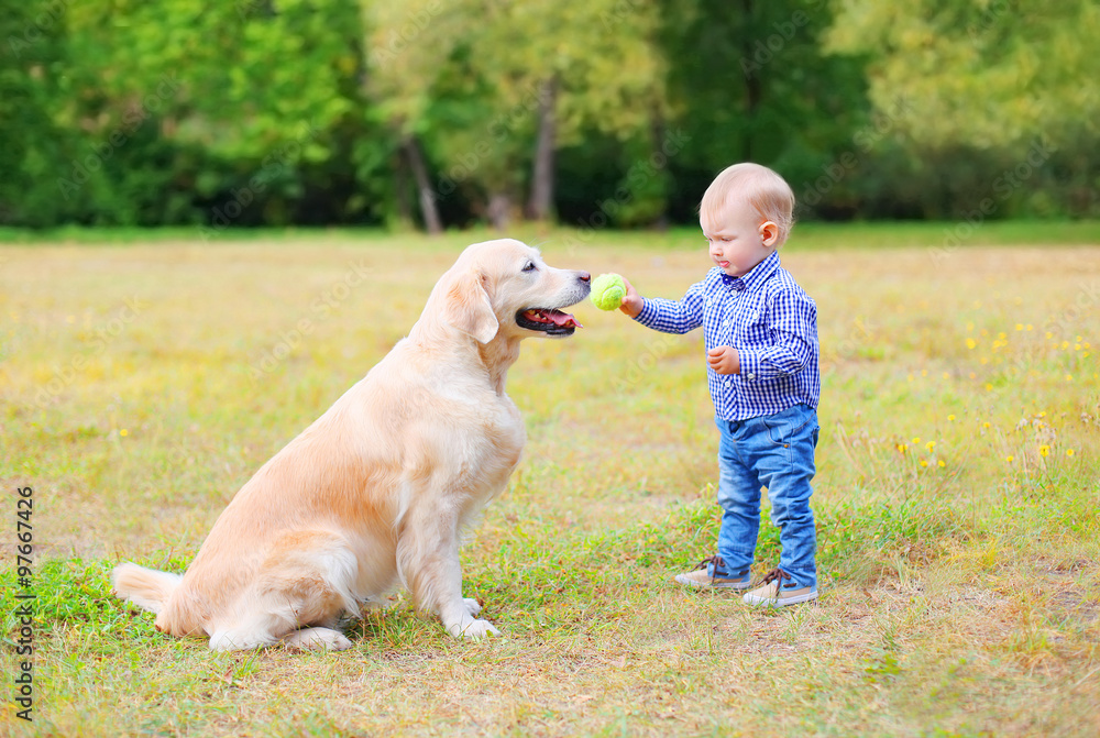 Little child playing with Labrador retriever dog together in par