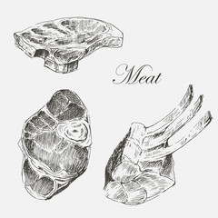 Wall Mural - vector steak meat hand drawing with pepper and rosemary. detailed ink food illustration