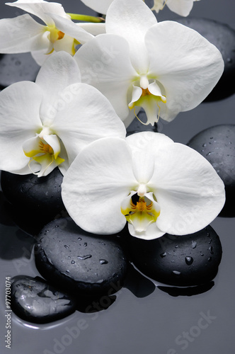 Naklejka na kafelki Still life with gardenia flowers with candle on therapy stones 