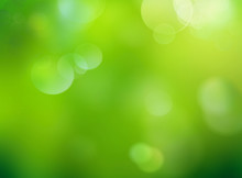 Blur Green Nature Defocused Background.Abstract Spring Wallpaper