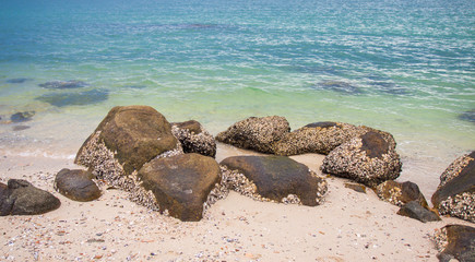 Canvas Print - Rocks Beach